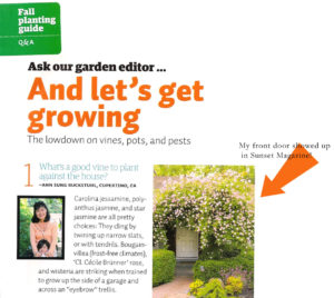 Magazine article about landscaping