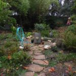Garden with a stone walkway and decorative boulder