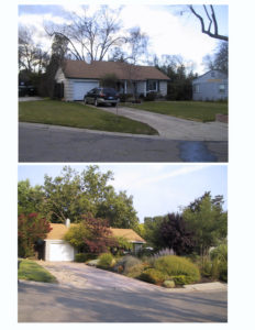 Before and after photo of our landscaping work
